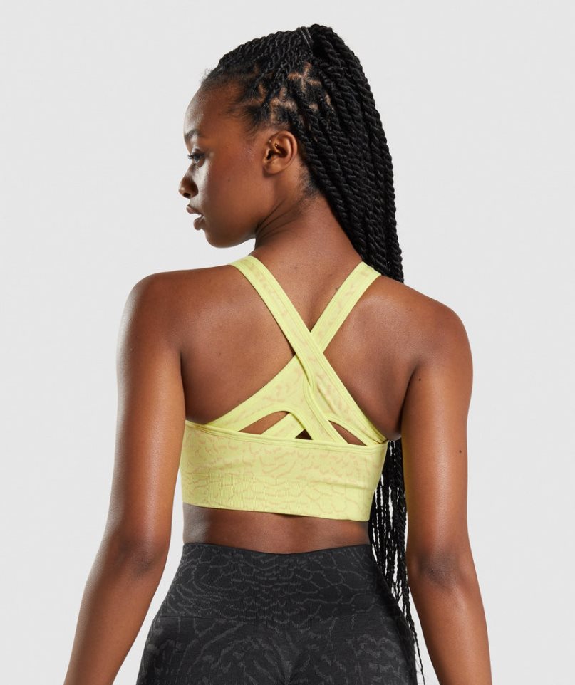 Women's Gymshark Adapt Animal Seamless Sports Bra Yellow | NZ 8QTOIF